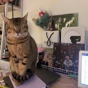 清爽可乐LFL 头像