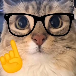 冤枉人8E9j 头像