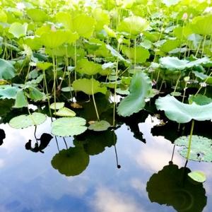 言之有李啊 头像