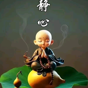 根哥的日常 头像