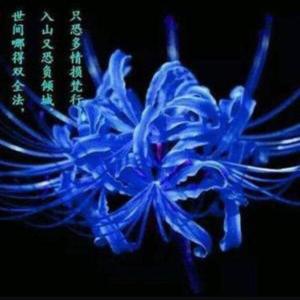 人生即是一场修行 头像