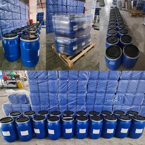 温柔菠萝4Z 头像