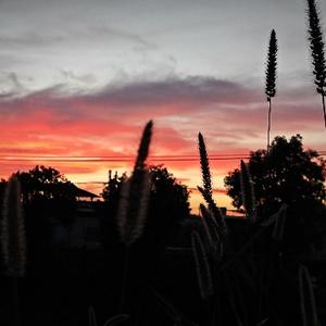 皮蛋solo粥 头像