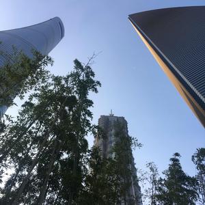 如石说书法