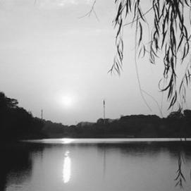 风影清光