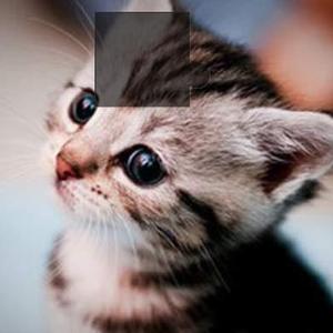 梦里畅享美好 头像