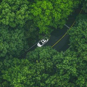 设计师卤蛋 头像