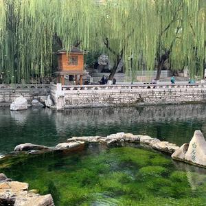 幸福的艺术家 头像