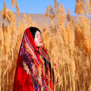 秋木木旅行 头像