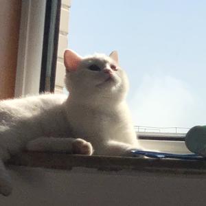 是小徐同学呀 头像