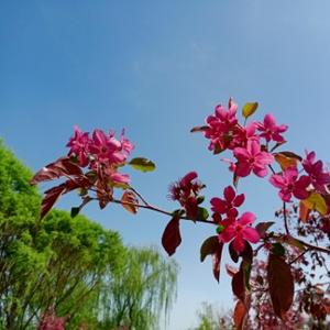 小河流淌的笔耕花园