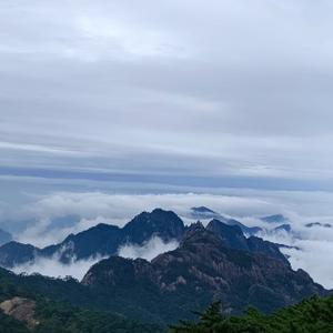 诸葛务农 头像