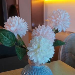 幸运远山88 头像