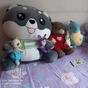 清闲的海洋KS 头像