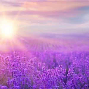 糖糖爱生活VOzQ 头像