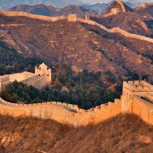 喵喵小音乐 头像