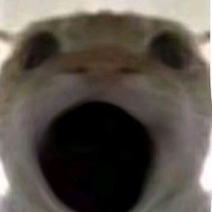 半日达 头像