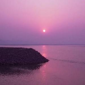 隐忍的蝎子 头像