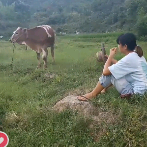 小凤家的生活日记头像