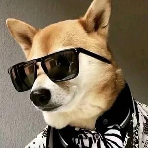 幸运的未来 头像
