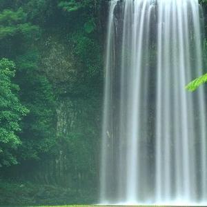 淡然处处云水间L 头像