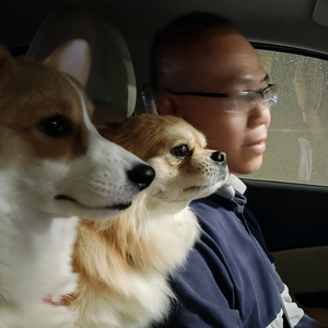 包子与四喜