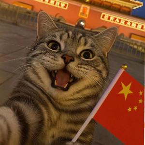 软软的小癞蛤蟆 头像