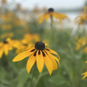 所遇皆美好 头像