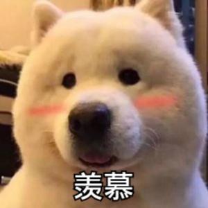 小泽你好呀 头像