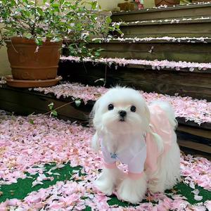 金娱说 头像