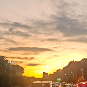 小瓶子的碎碎念 头像