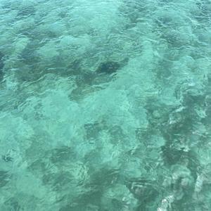 育婴师土豆妈妈 头像