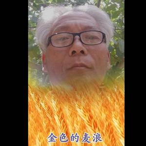 红色基因415 头像