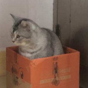 向阳生长7865 头像