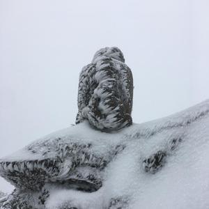 保胜在酉阳头像