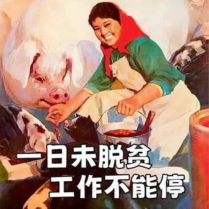 外设圈最后的深情 头像