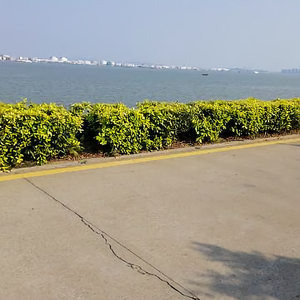 小喇叭爹在羊城 头像