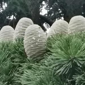 特想告诉你 头像