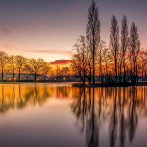 带回家最好跑车 头像