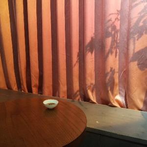 陈夏五君子 头像