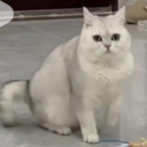 生活忆趣