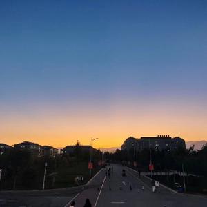 摸鱼的大橘子 头像