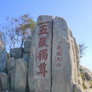 智者闻风 头像