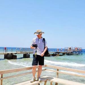 唯楚有2020 头像