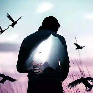 一眼可见的清澈 头像