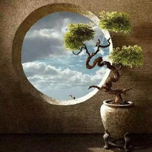 清爽风筝啊 头像