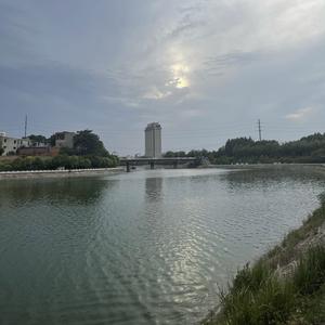 年轻的中年人 头像