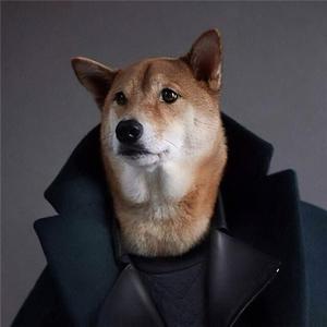 自然环境观察员 头像