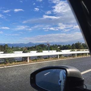 热情的菠萝vg 头像