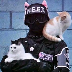 CSGO鸥阳电坤 头像